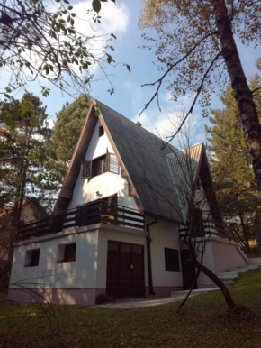 Kuća za odmor Arsenijević Zlatibor
